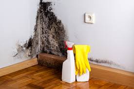 Mold Remediation for Vacation Homes in Cameron Park, TX